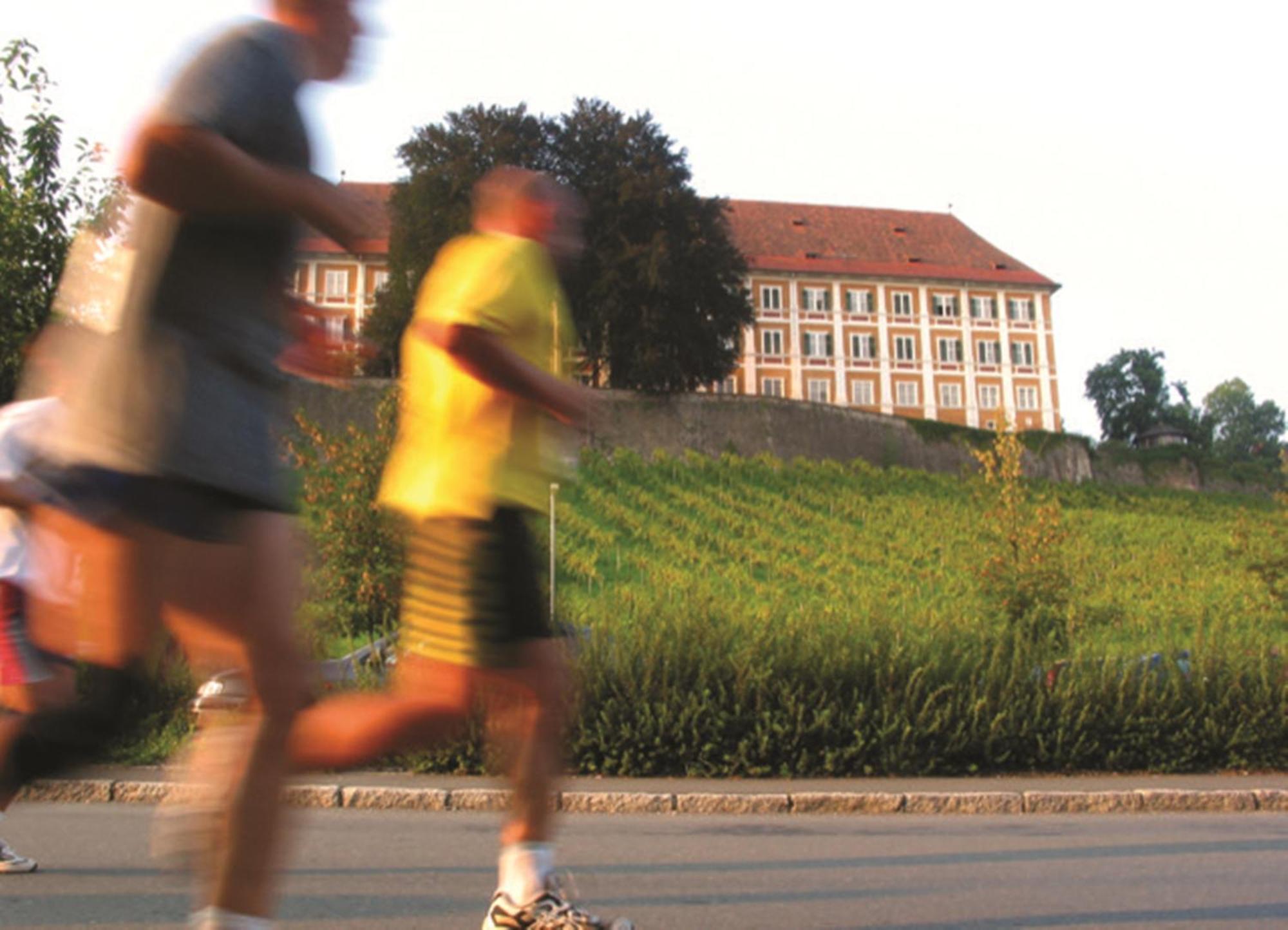 Stainzerhof Hotel 4*