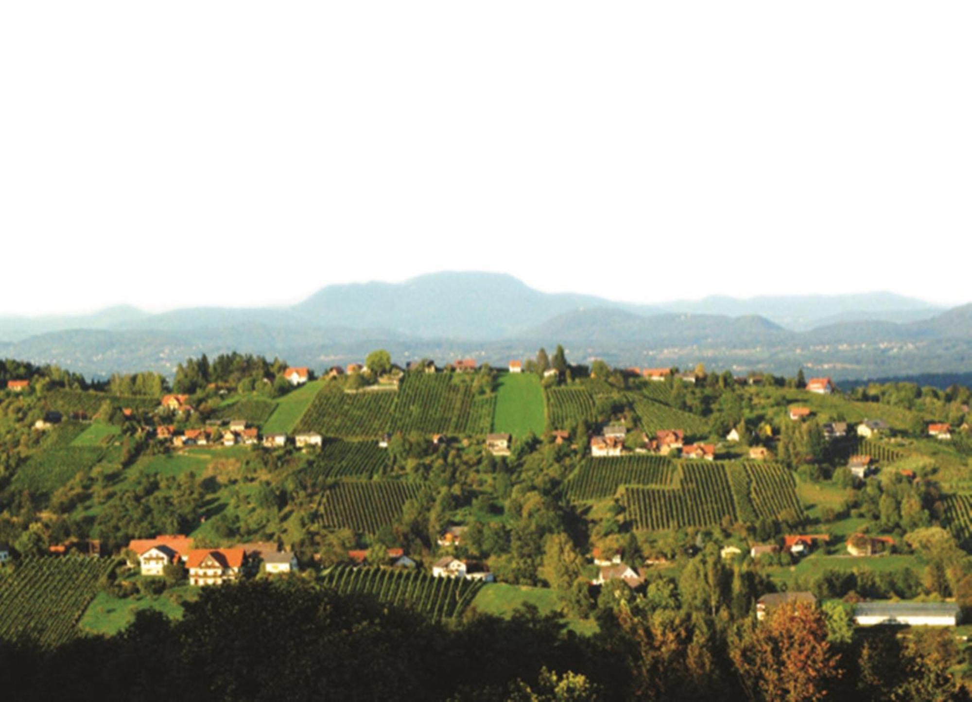 Hotel Stainzerhof 4*