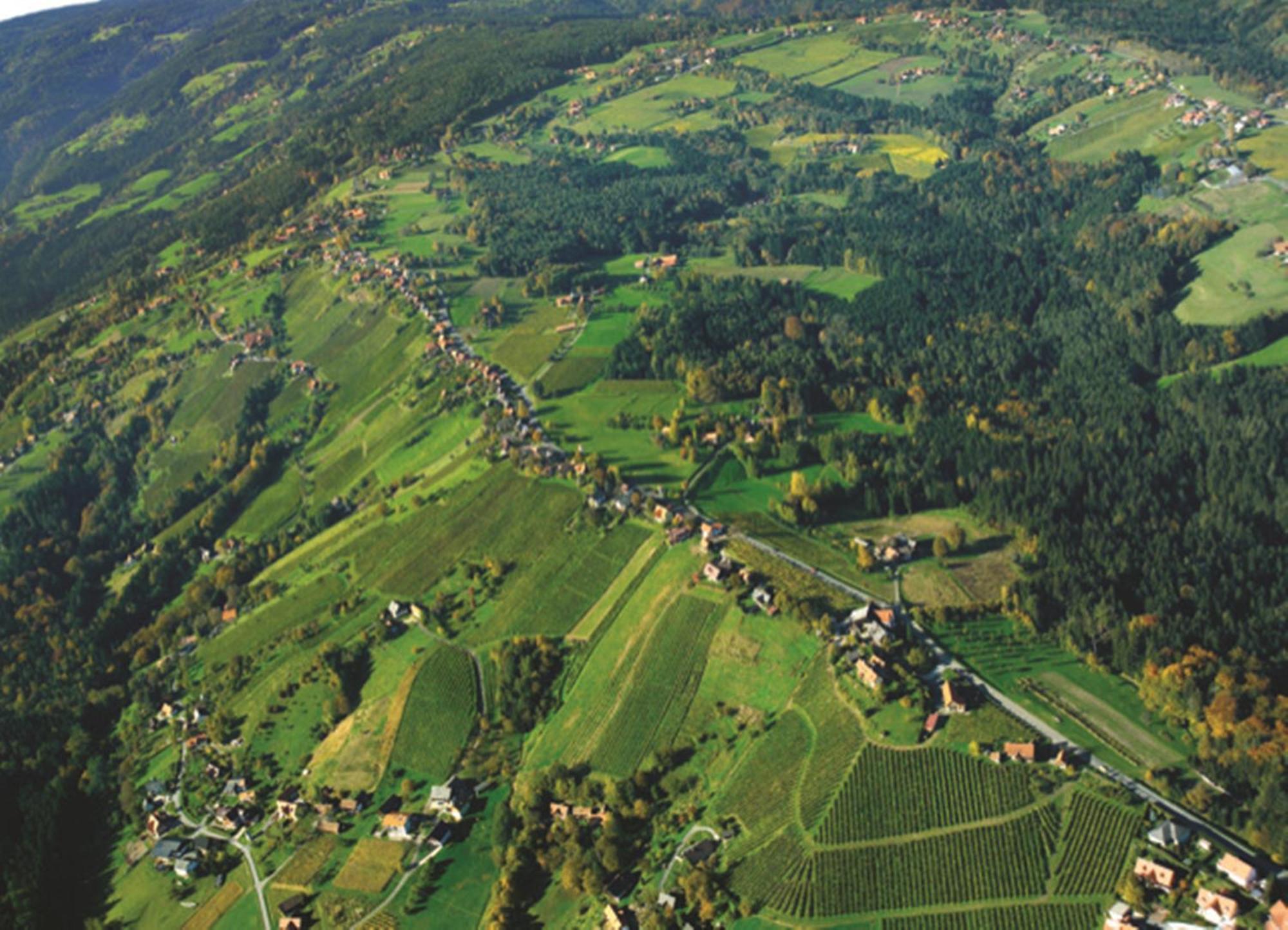 Hotel Stainzerhof 4*